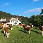 Gospodarstwo agroturystyczne Dorfergut Weisspriach