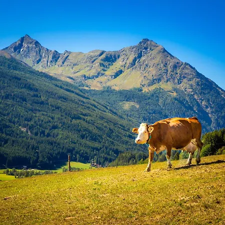 Dorfergut Séjour à la ferme