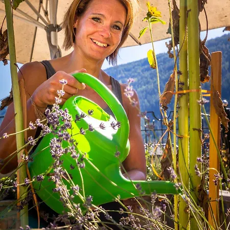 Dorfergut Фермерский дом *