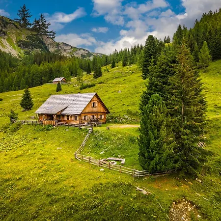 Dorfergut