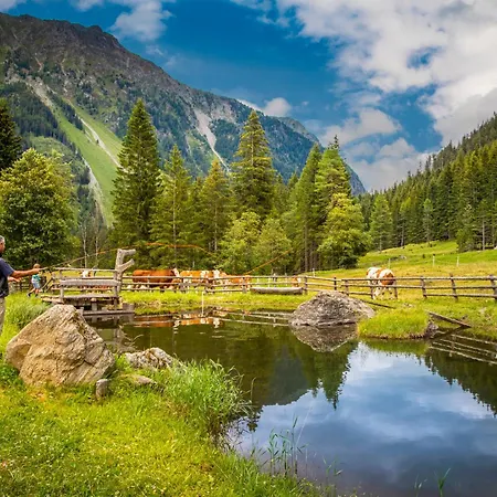 Фермерский дом Dorfergut Weisspriach