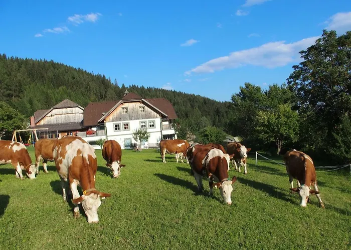 Farm stay Dorfergut Weisspriach